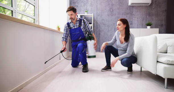 Best Pest Prevention Services  in Brownsville, FL